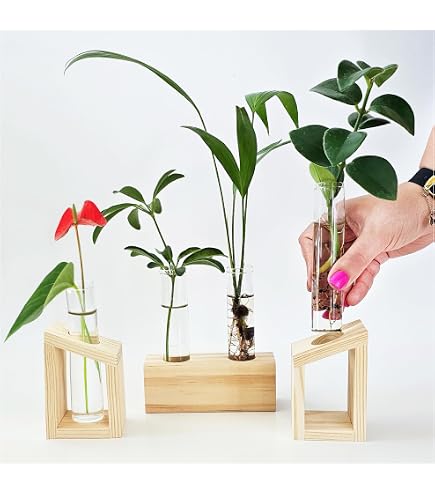 ハッピーライフ（3本セット） 3-Pack Glass Plant Propagation Station With Wooden Stand – 15 Test